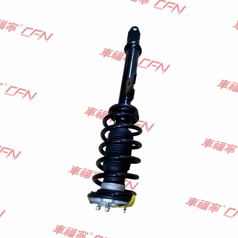 Front Left Shock Absorber Strut Assembly Fit Tesla Model 3 M3 5YJ3 RWD 2017-2023 Bran PIG IRONd Parts