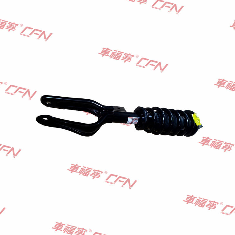 Front Left Shock Absorber Strut Assembly Fit Tesla Model 3  Model Y 17-23 1044363-04-B